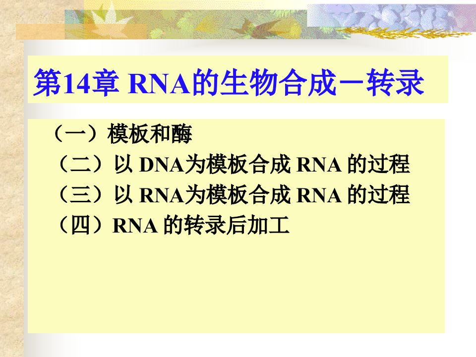 09核酸的生物学功能2