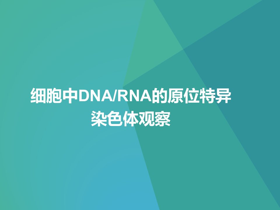 细胞中DNA和RNA的染色实验