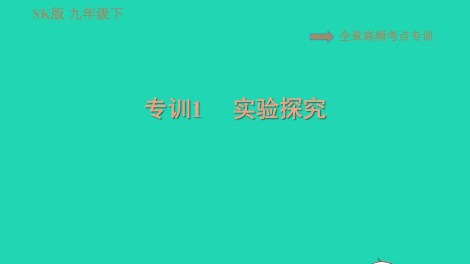 2021九年级物理全册第十八章能源与可持续发展高频考点专训1实验探究习题课件新版苏科版