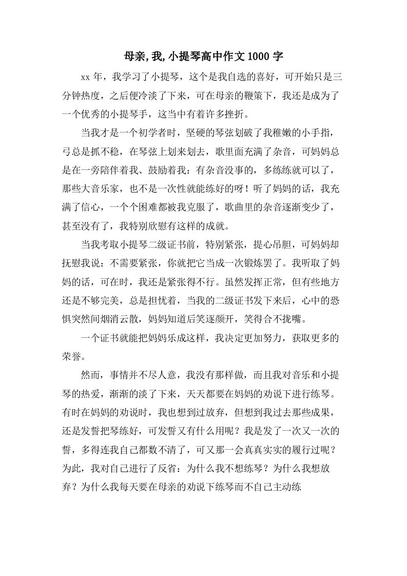 母亲,我,小提琴高中作文1000字