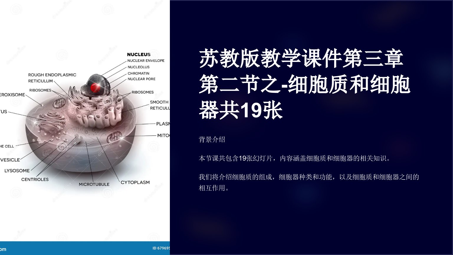 苏教版教学课件第三章第二节之-细胞质和细胞器共19张