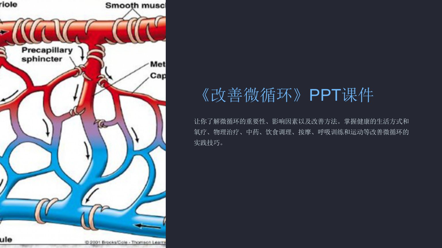 《改善微循环》课件