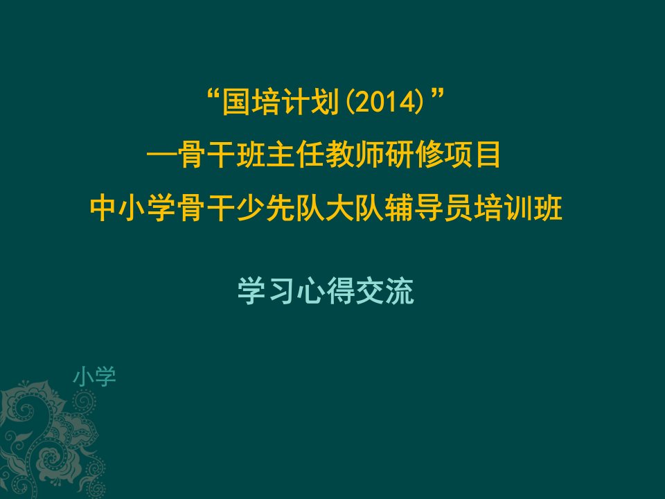 中小学骨干少先队大队辅导员培训班