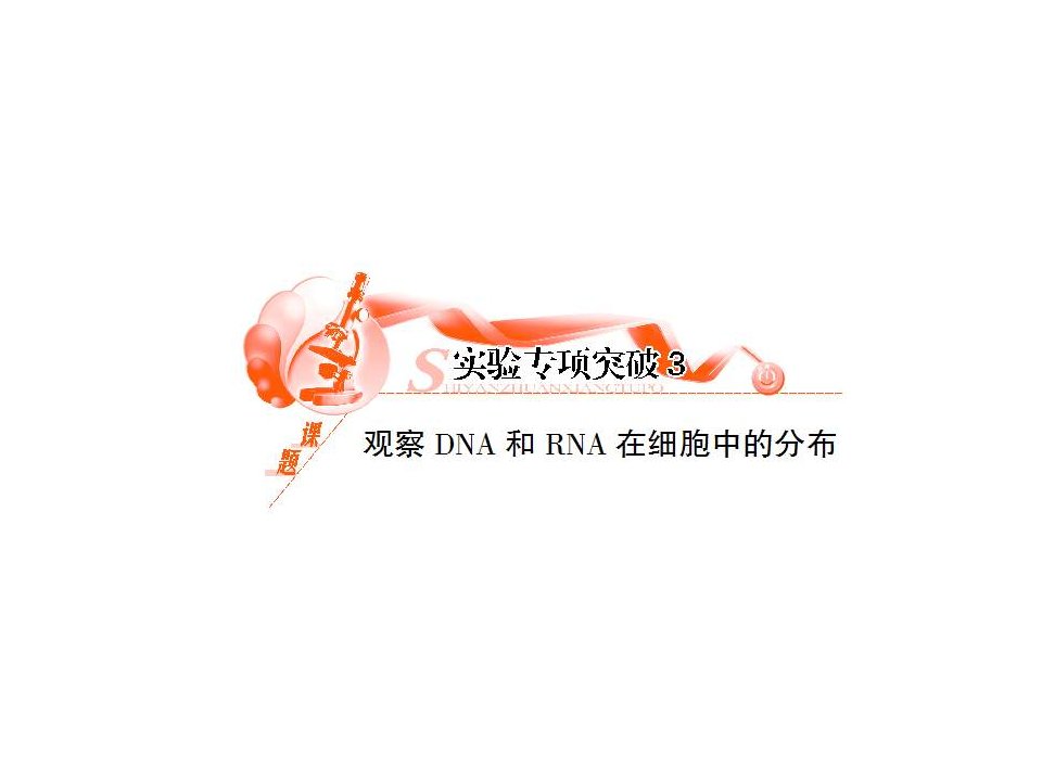 观察DNA和RNA在细胞中的分布