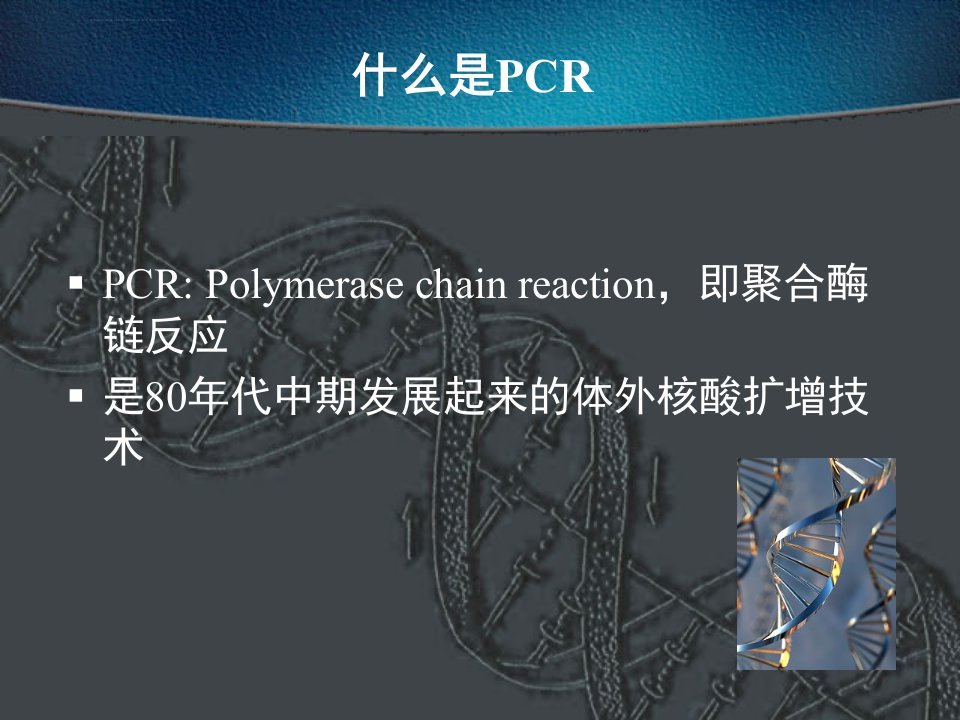 PCR技术的原理操作及应用yu1hanppt课件