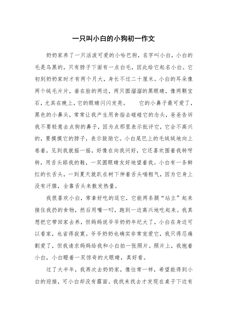 一只叫小白的小狗初一作文