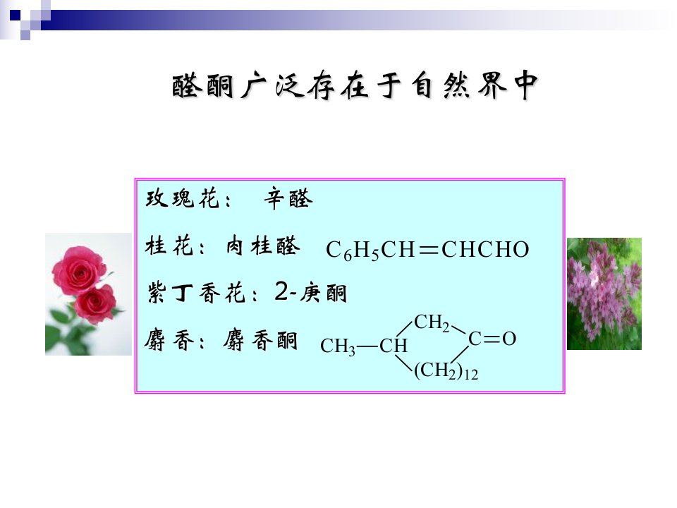 有机化学第10章课件