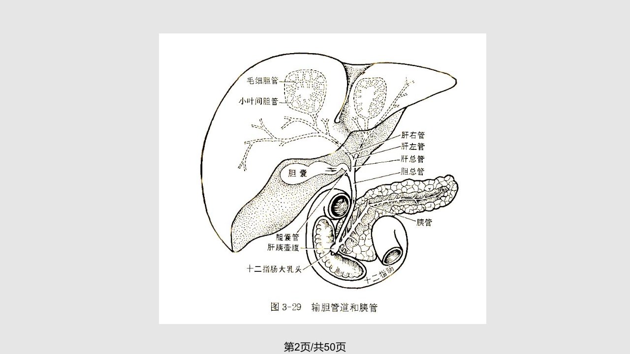 顺应四时调养五脏