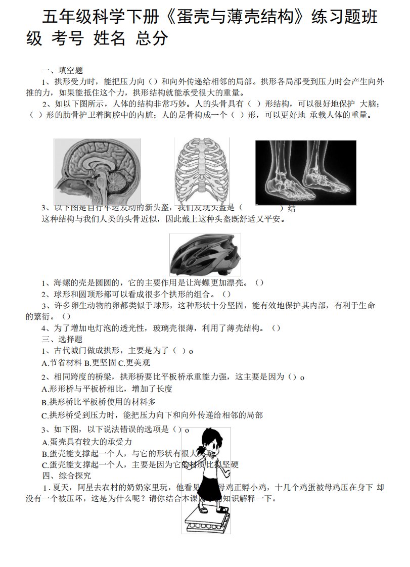 小学科学苏教版五年级下册第二单元第6课《蛋壳与薄壳结构》练习题精品