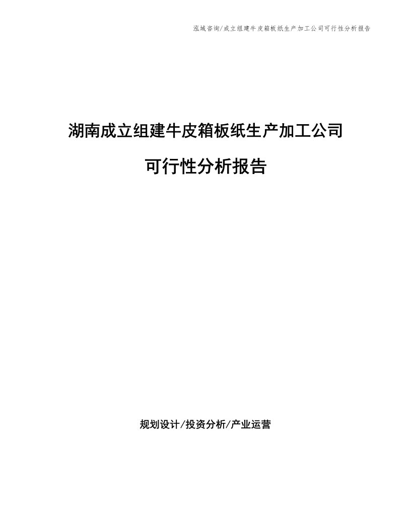 湖南成立组建牛皮箱板纸生产加工公司可行性分析报告（参考模板）