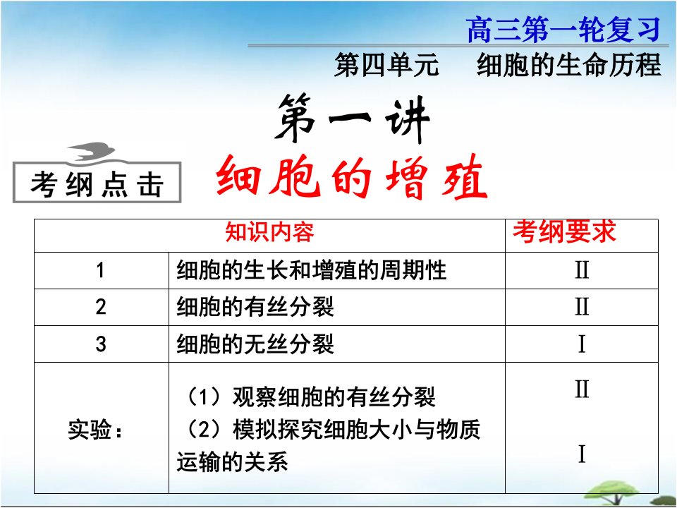 人教版高中生物高三一轮复习41细胞的增殖课件