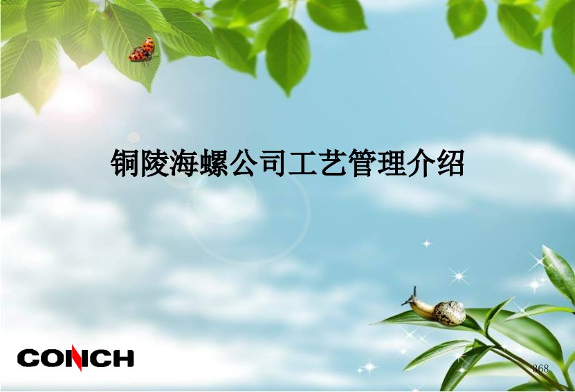 (6)铜陵海螺工艺生产介绍(程小兵)