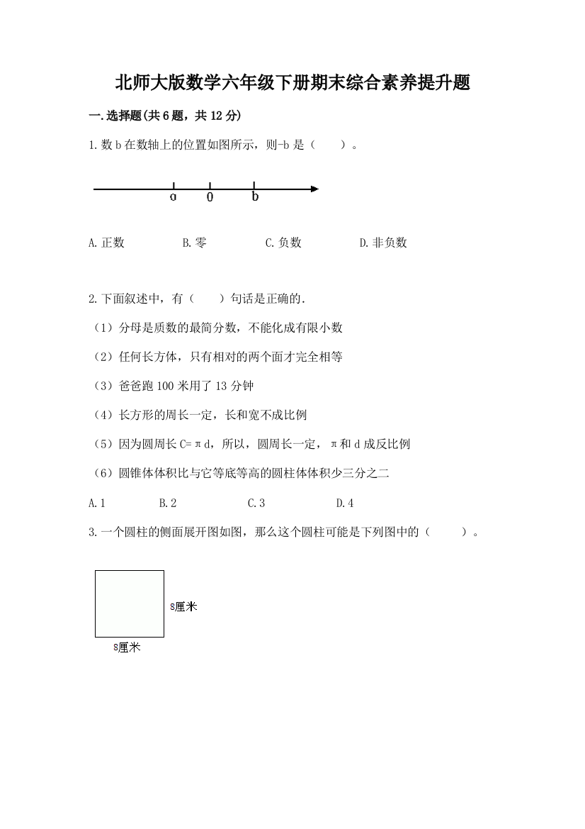 北师大版数学六年级下册期末综合素养提升题精编