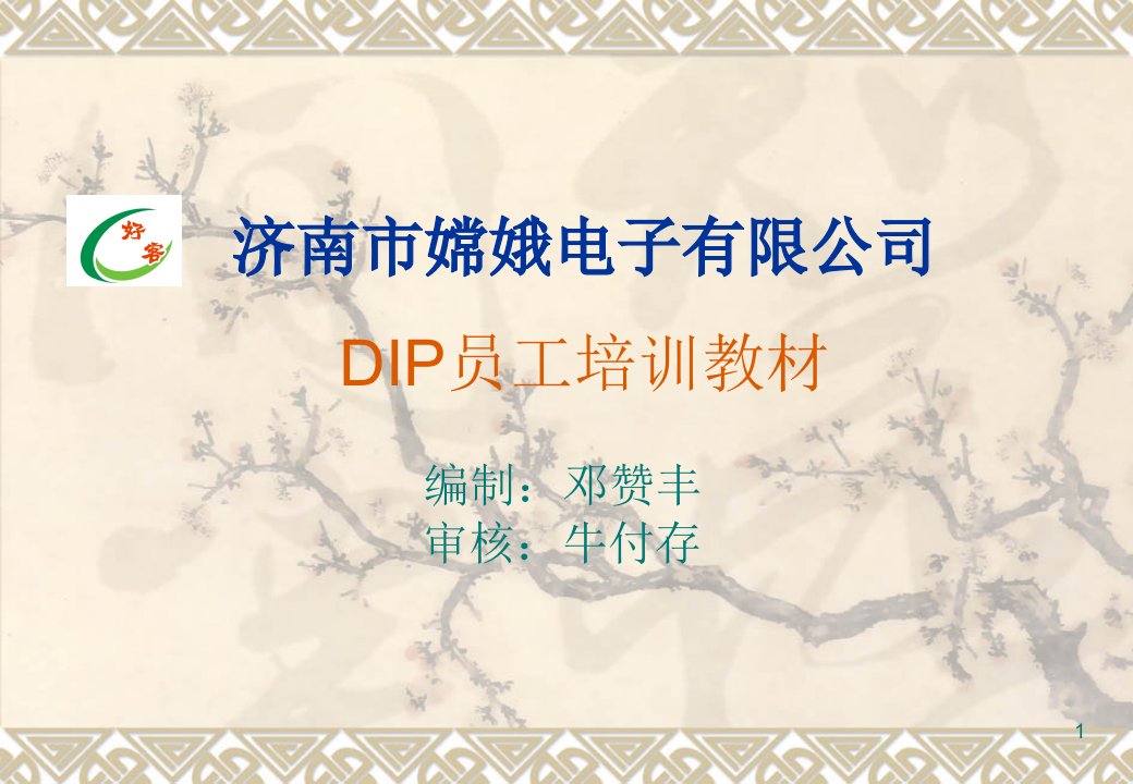 完整DIP员工培训教材课件