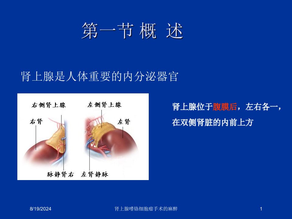 2021年肾上腺嗜铬细胞瘤手术的麻醉