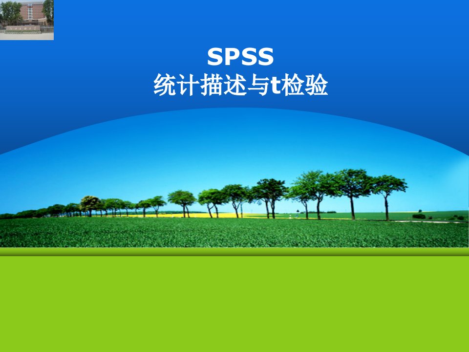 统计描述与t检验（SPSS）