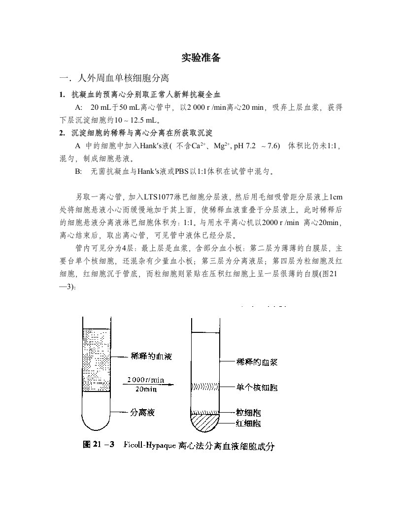 外周血单核细胞分离纯化