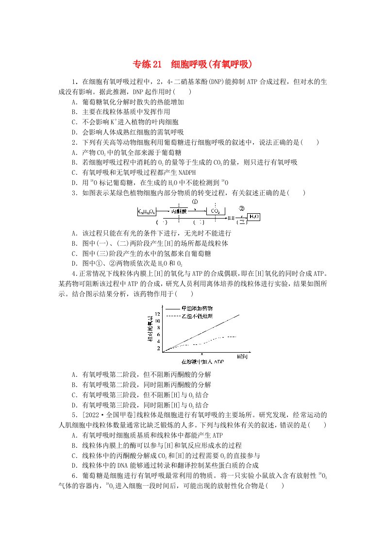 新高考2024版高考生物一轮复习微专题小练习专练21细胞呼吸有氧呼吸