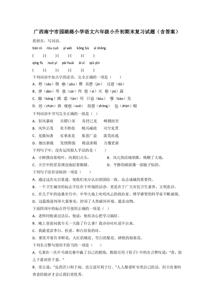 广西南宁市园湖路小学语文六年级小升初期末复习试题(含答案)