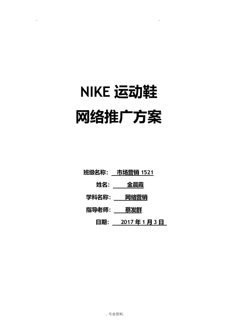 nike运动鞋网络推广方案