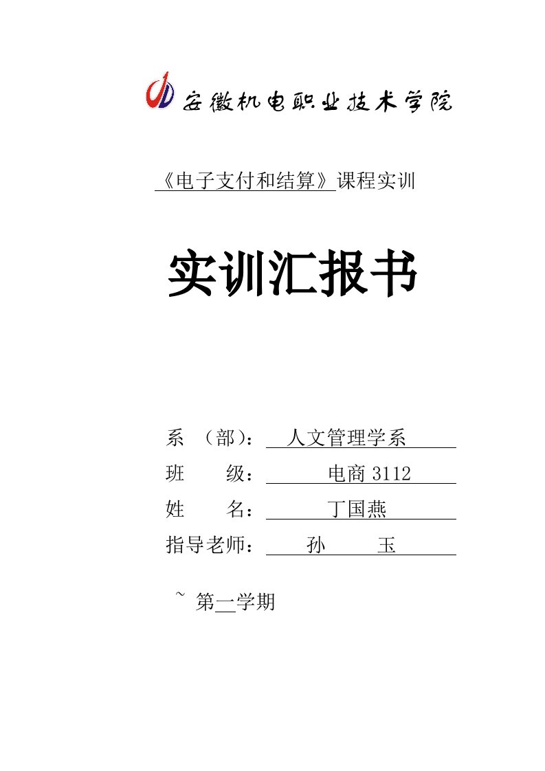 电子支付与结算实训总结报告