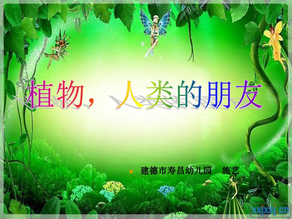 大班社会活动《植物，我们的朋友》ppt