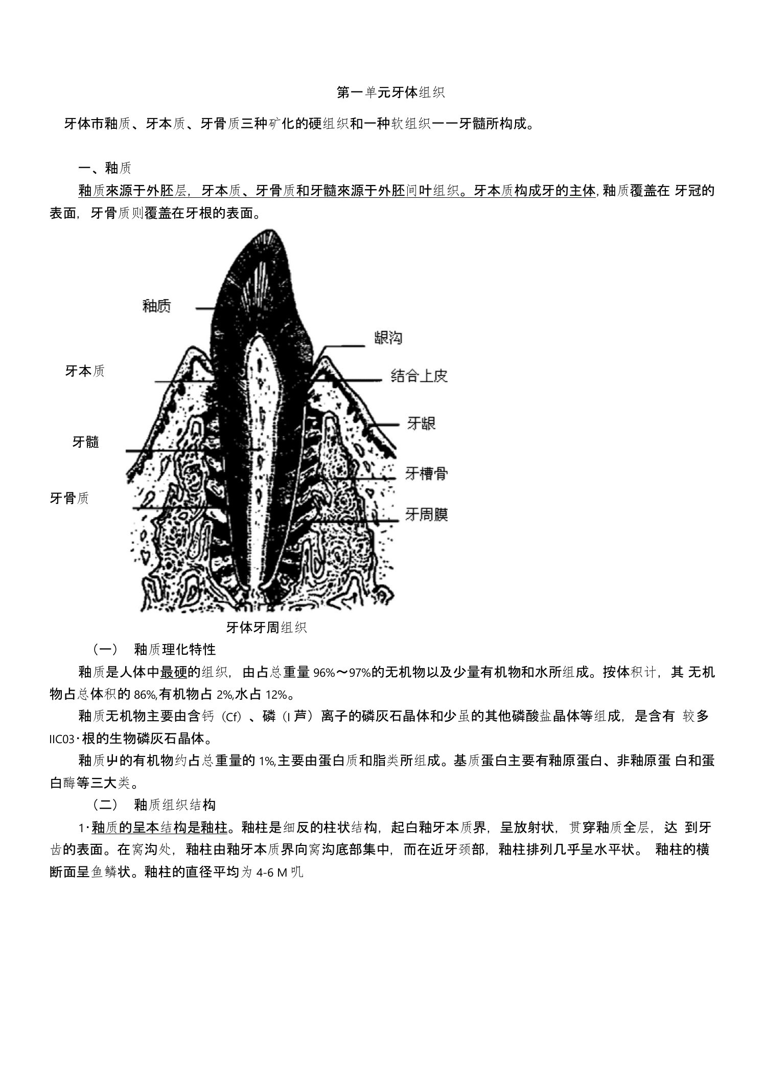 主管护师护士护理考研资格考试题库第一单元牙体组织