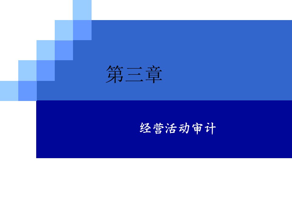 内部审计学之经营活动审计