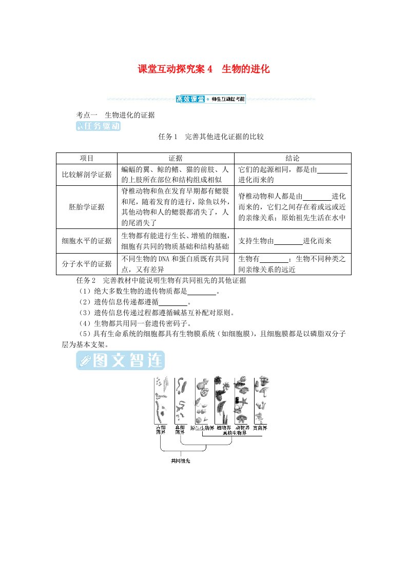 2024版新教材高考生物全程一轮总复习第七单元生物的变异与进化课堂互动探究案4生物的进化学生用书