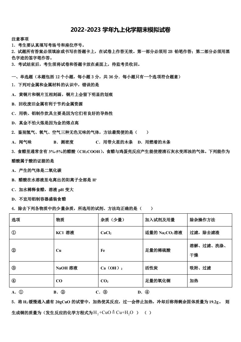 广东省深圳市深圳龙岗区龙岭初级中学2022年化学九年级第一学期期末检测试题含解析