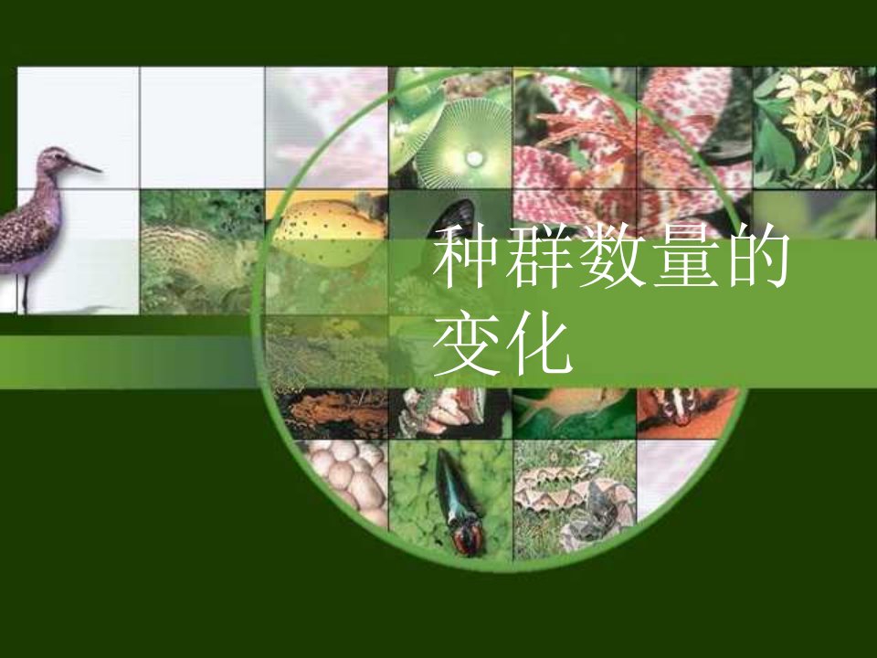 高二生物种群数量的变化