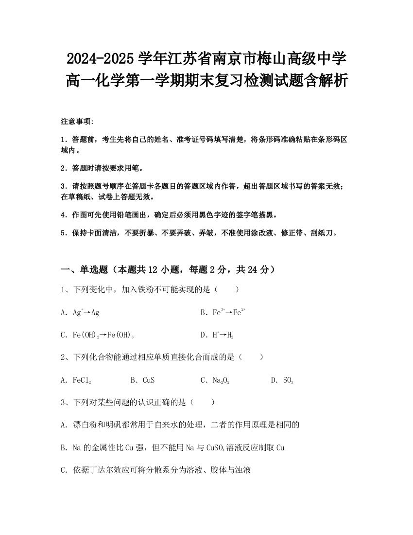 2024-2025学年江苏省南京市梅山高级中学高一化学第一学期期末复习检测试题含解析