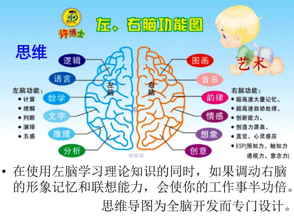 思维导图的制作