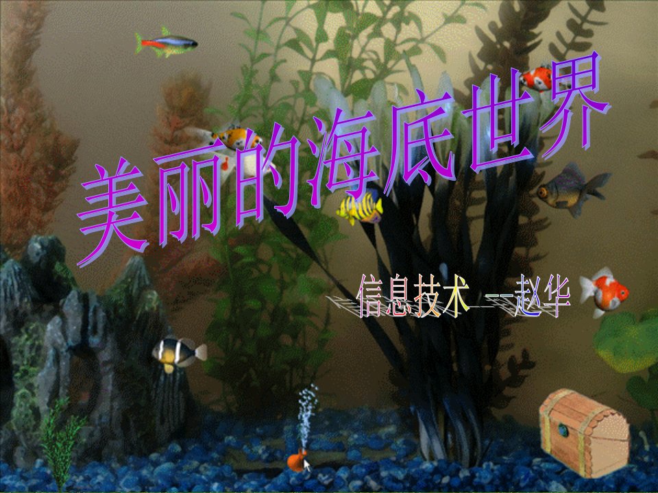 小学信息技术美丽的海底世界