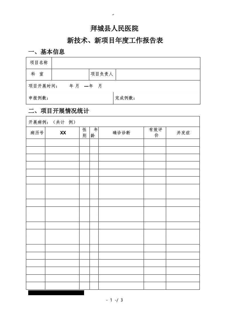 新技术新项目总结报表