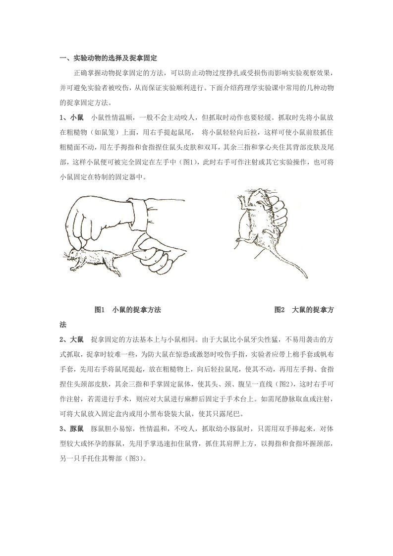 医疗行业-药理学实验