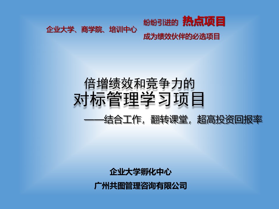 超高投资回报率的对标管理学习项目