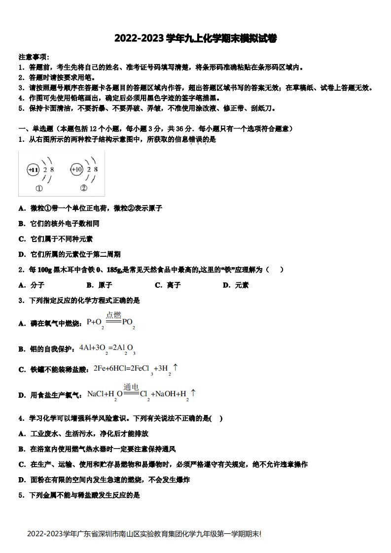 2022-2023学年广东省深圳市南山区实验教育集团化学九年级第一学期期末检测模拟试题含解析