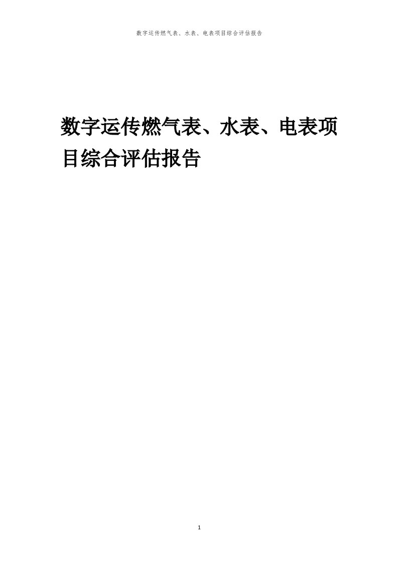 2023年数字运传燃气表、水表、电表项目综合评估报告