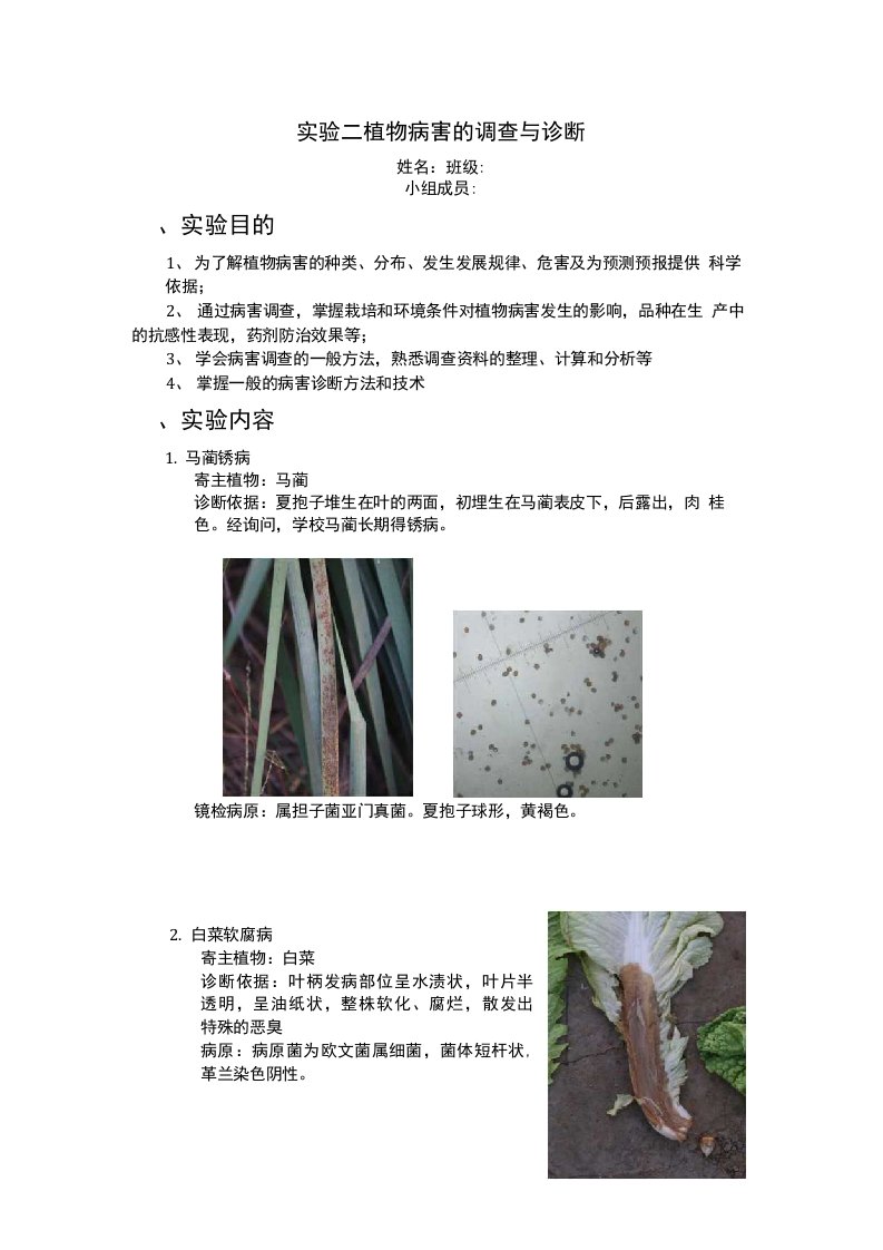 植物病理学实验课程作业—植物病害调查与诊断报告