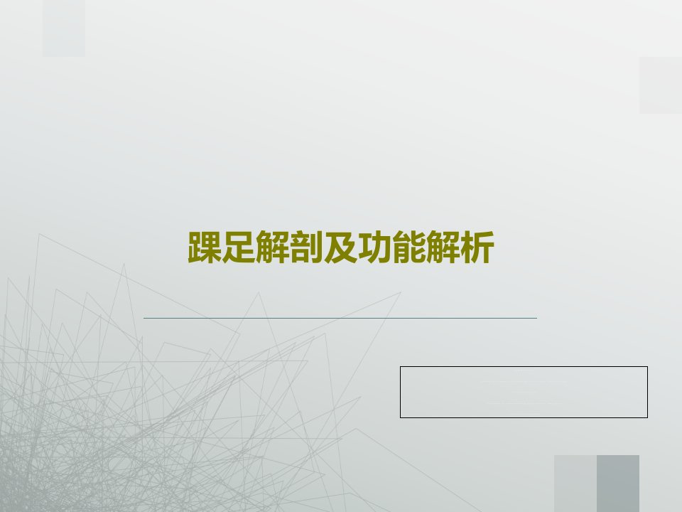 踝足解剖及功能解析共28页