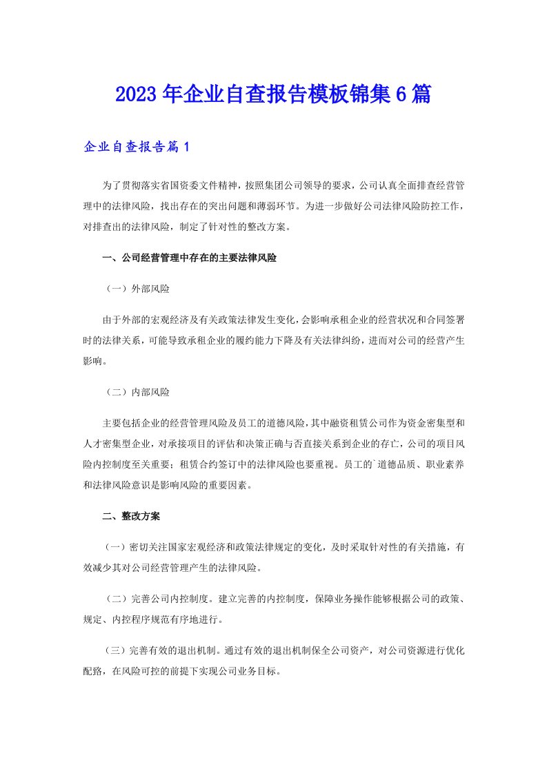 2023年企业自查报告模板锦集6篇