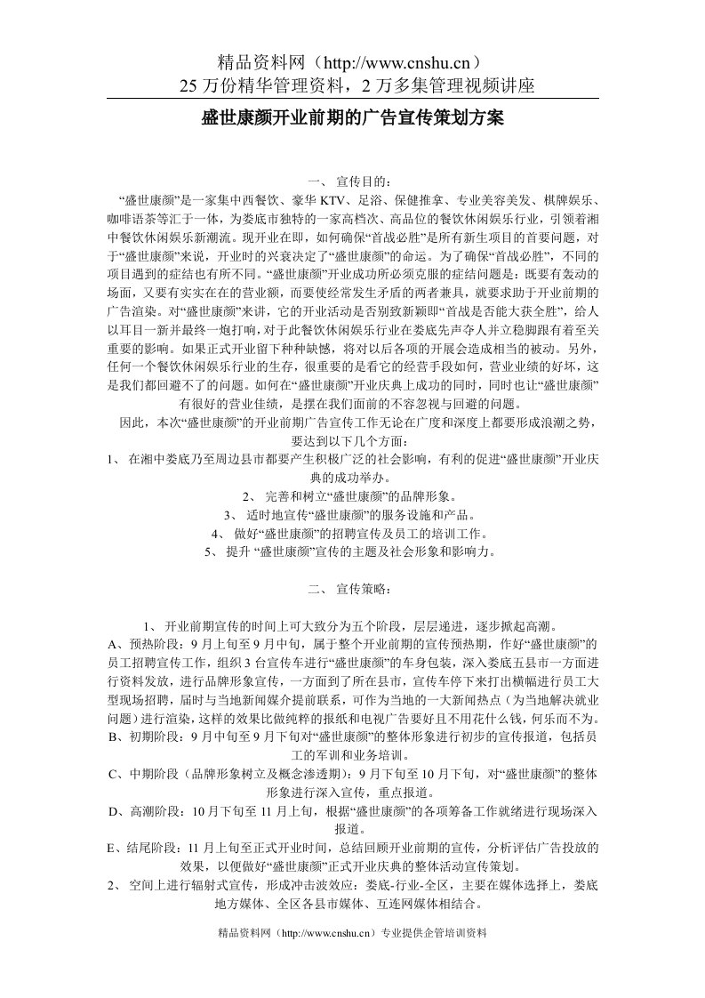 盛世康颜开业前期的广告宣传策划方案