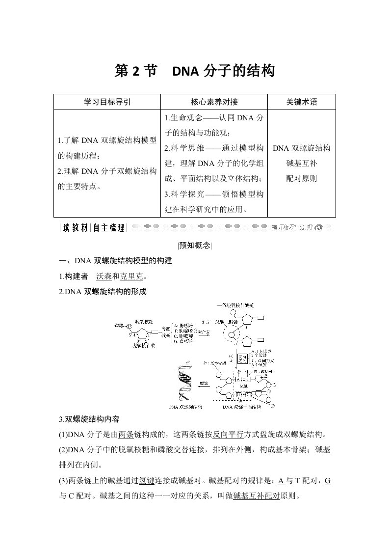 19-20版-3.2DNA分子的结构（创新设计）