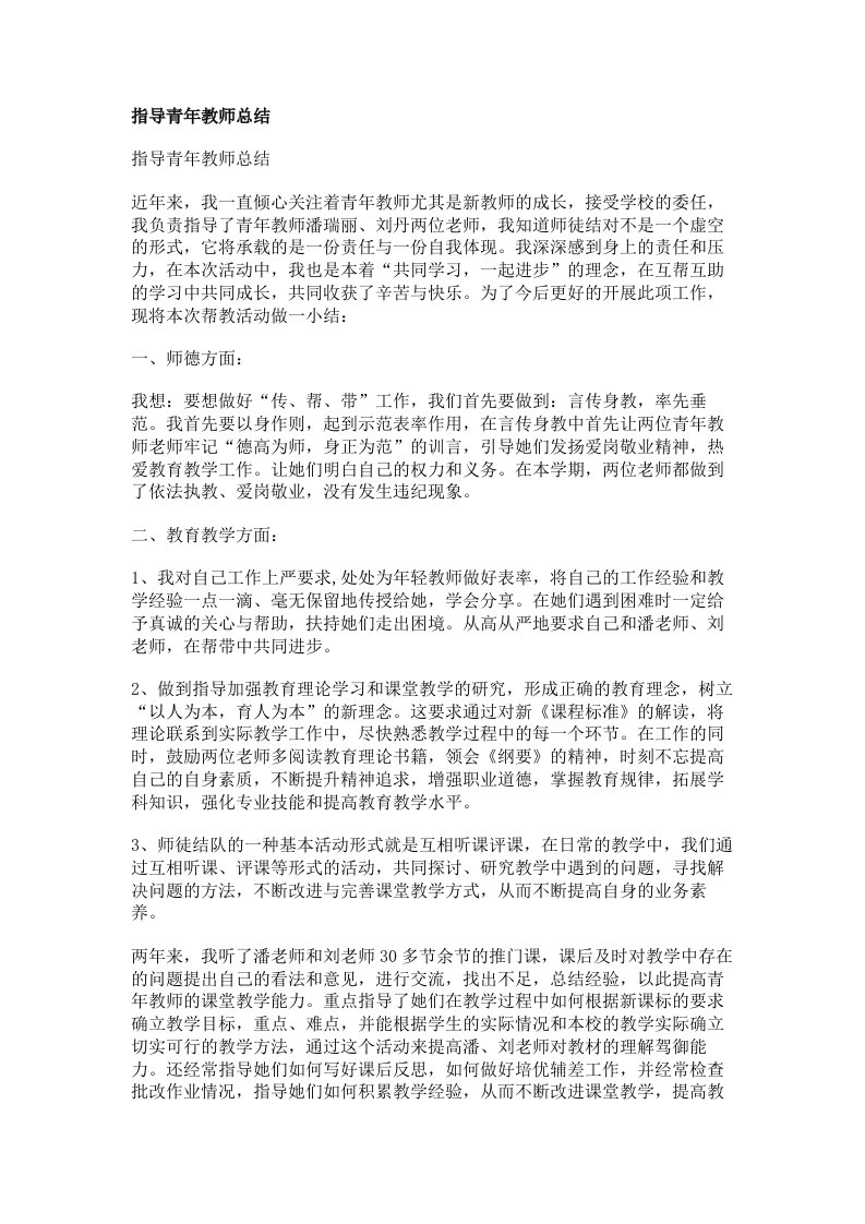 指导青年教师总结