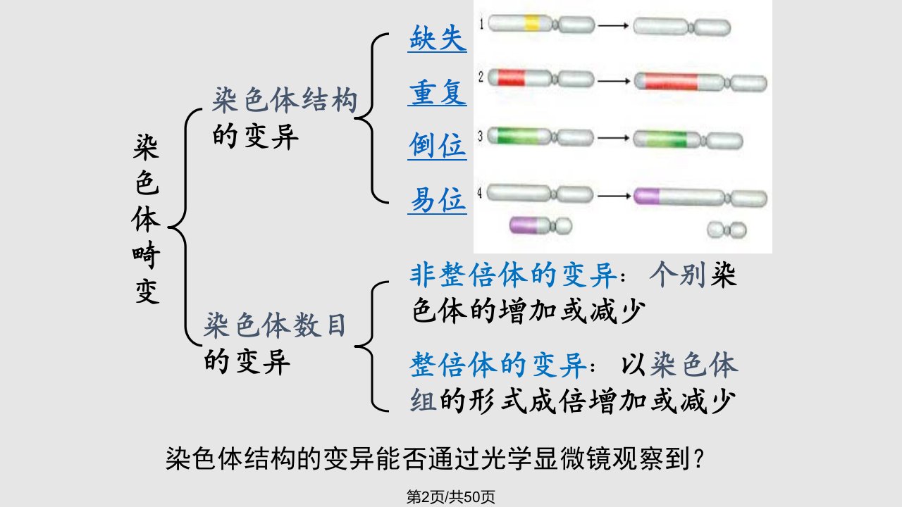 染色体畸变学习