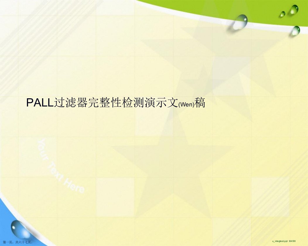 PALL过滤器完整性检测演示文稿