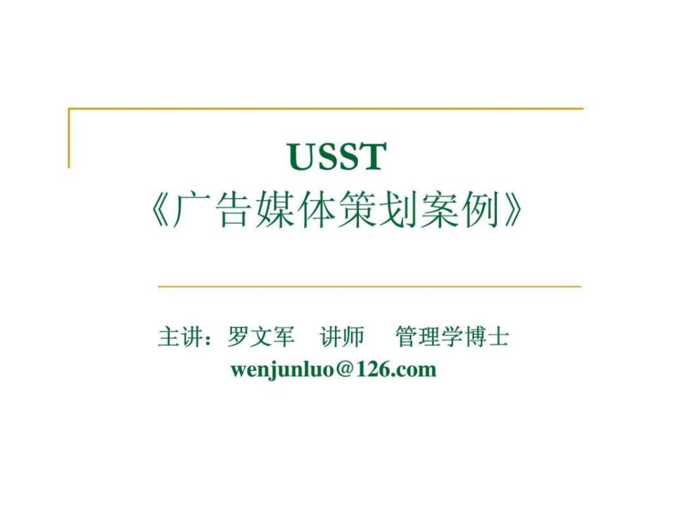 USST广告媒体策划案例(1)