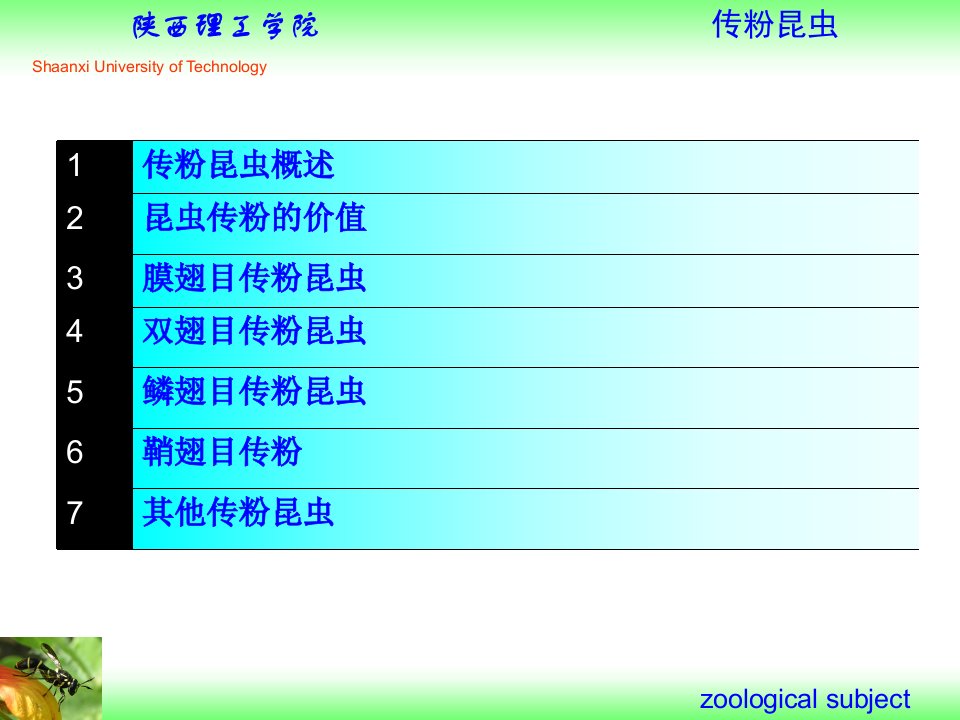 资源昆虫学-传粉昆虫