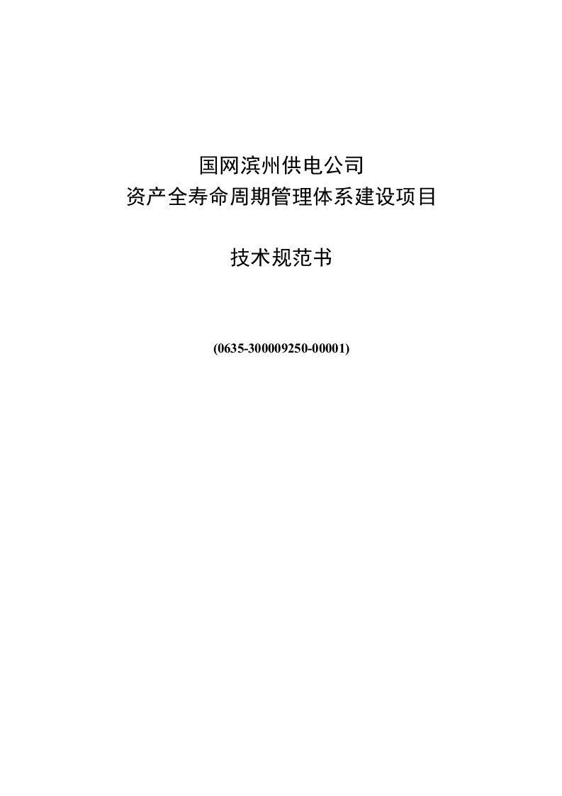 国网电力公司资产全寿命周期管理体系建设项目